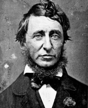 Henry-david-thoreau